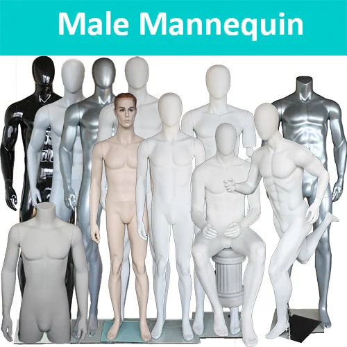 Male Mannequin